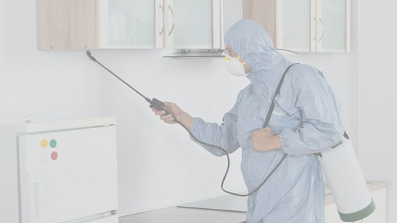 TOP PEST CONTROL: pest control Singapore review